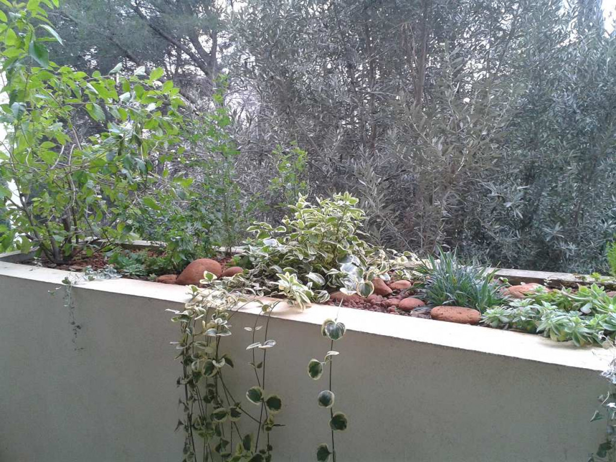 vente Appartement Montpellier - Photo 5