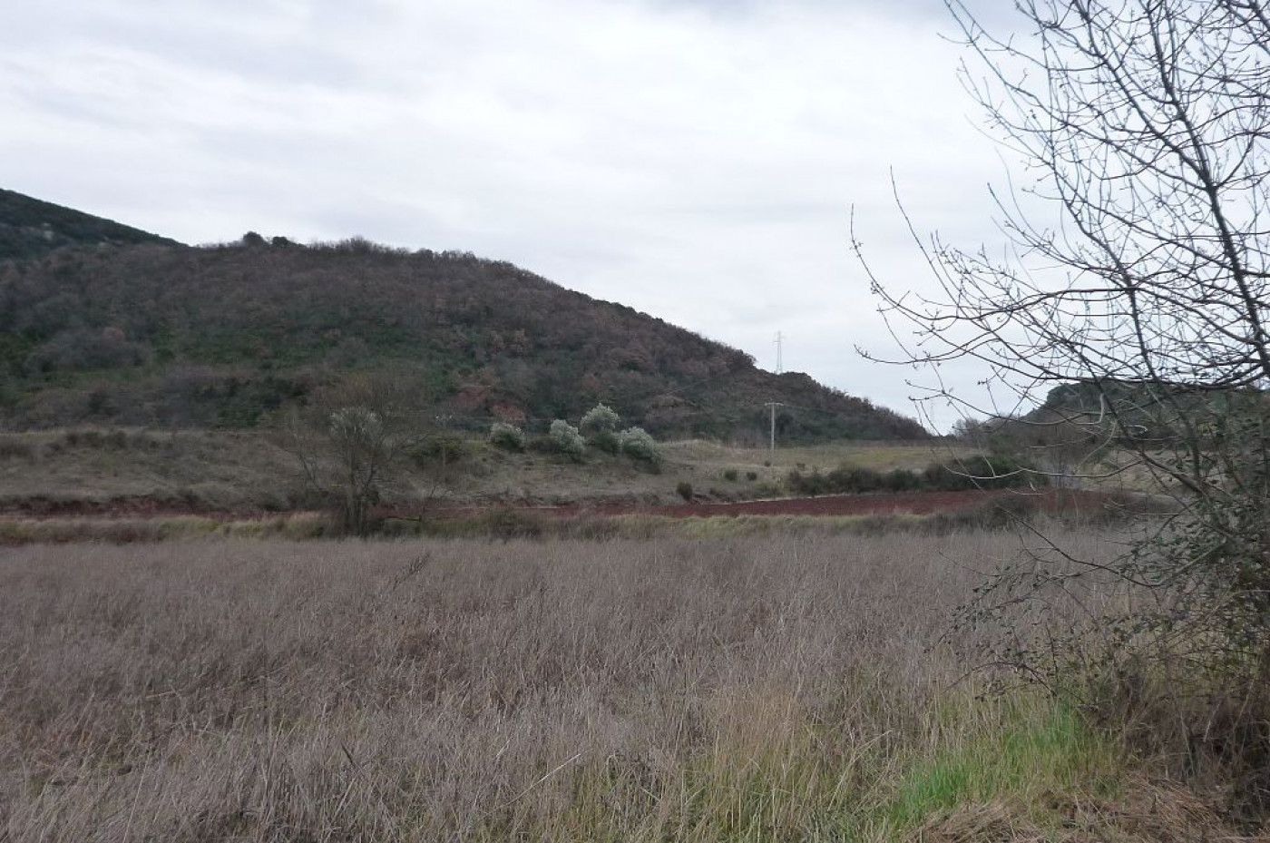 vente Terrain constructible Salasc - Photo 1