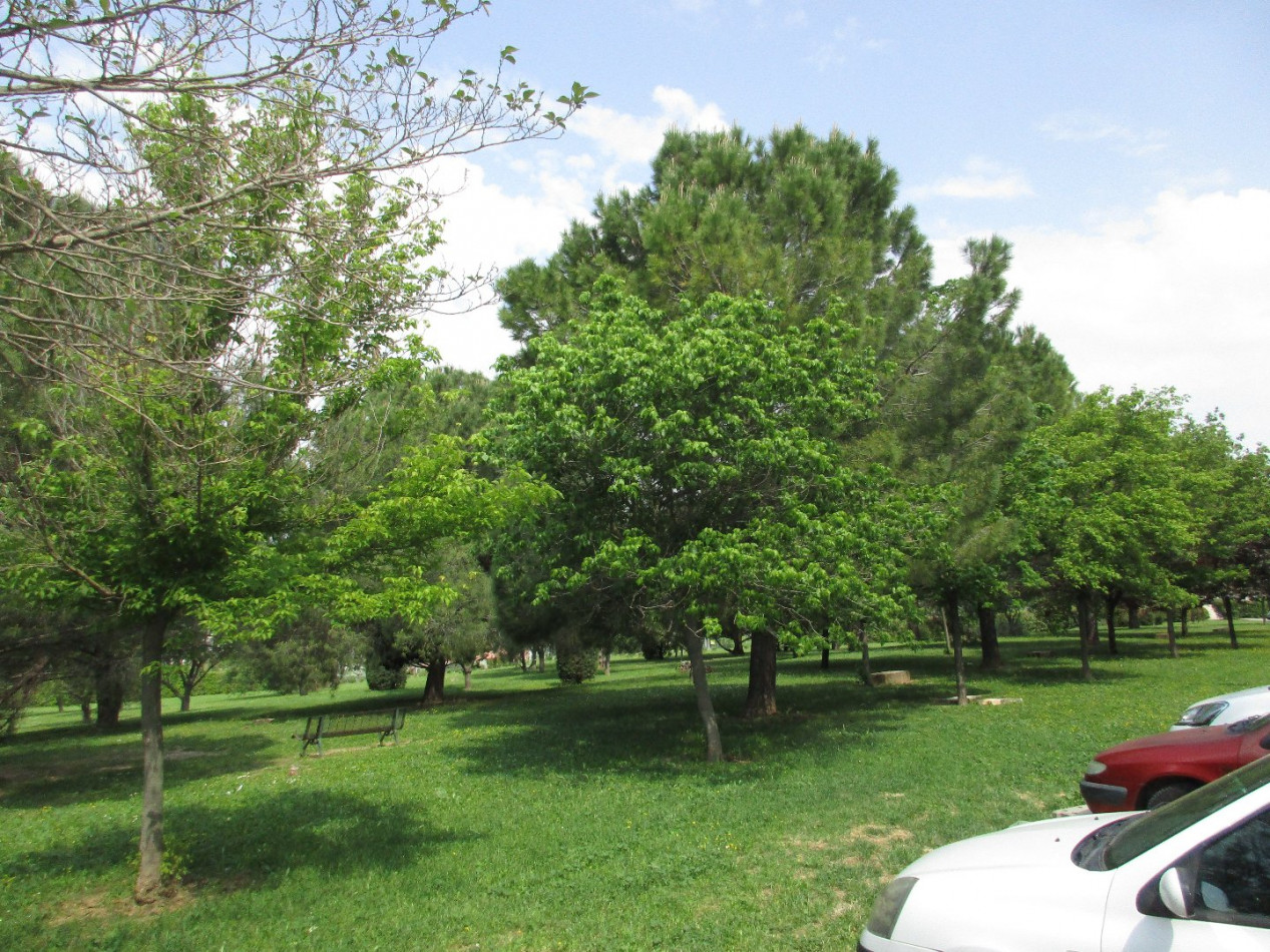 vente Appartement Montpellier - Photo 4