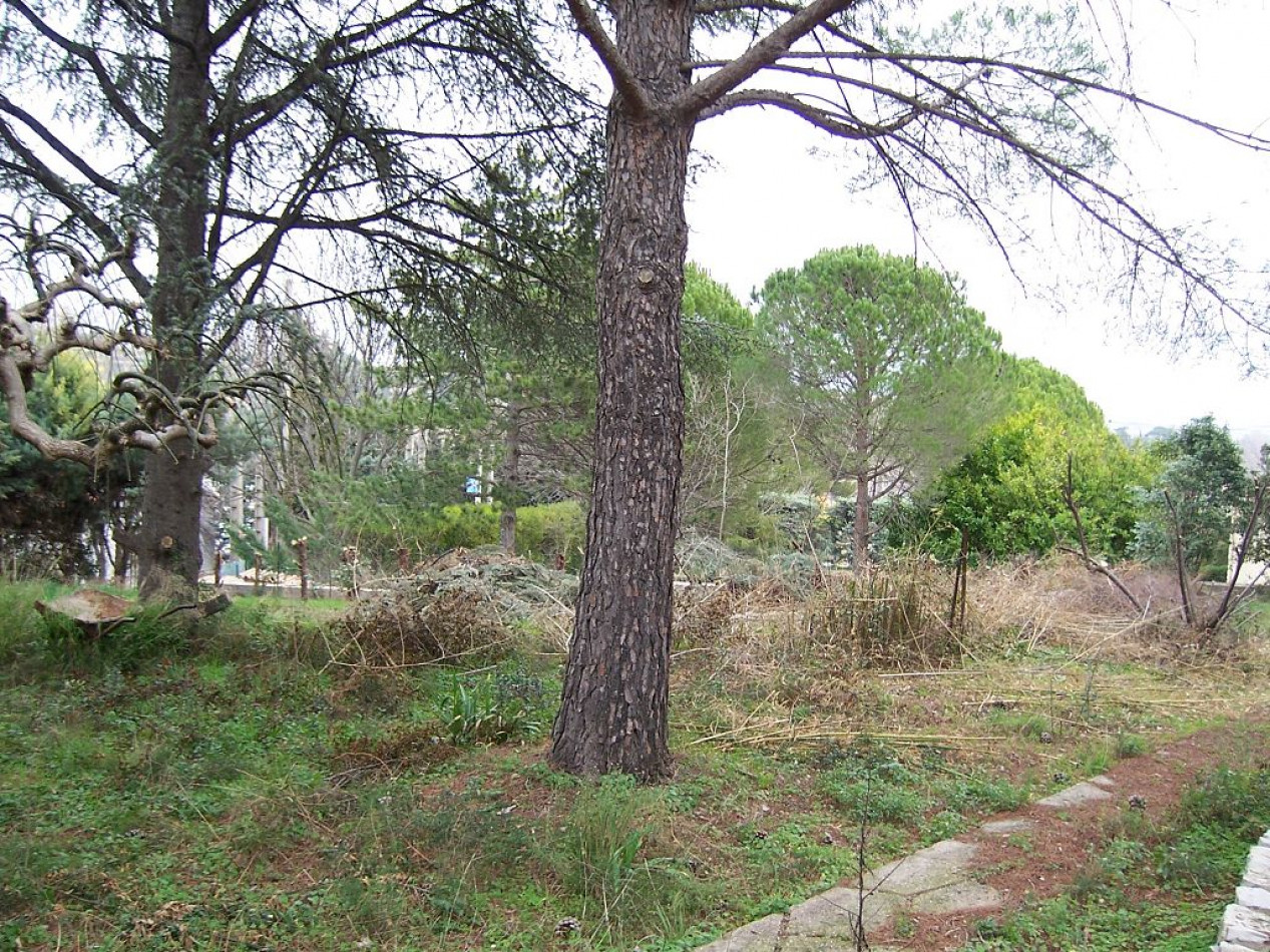 vente Terrain constructible Clermont L'herault - Photo 2