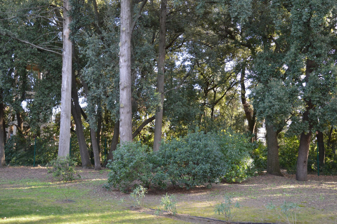 vente Appartement terrasse Montpellier - Photo 4