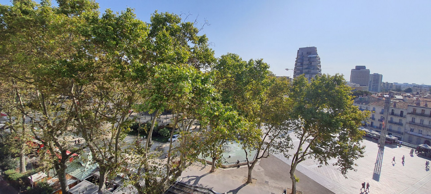 location Bureau Montpellier - Photo 2