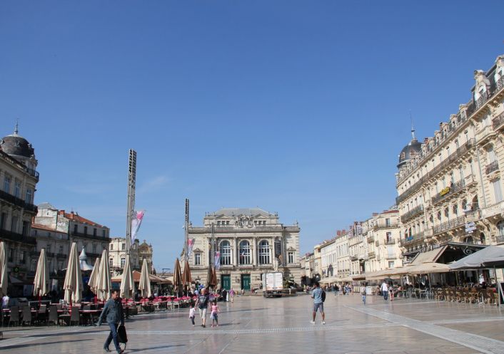 vente Appartement bourgeois Montpellier