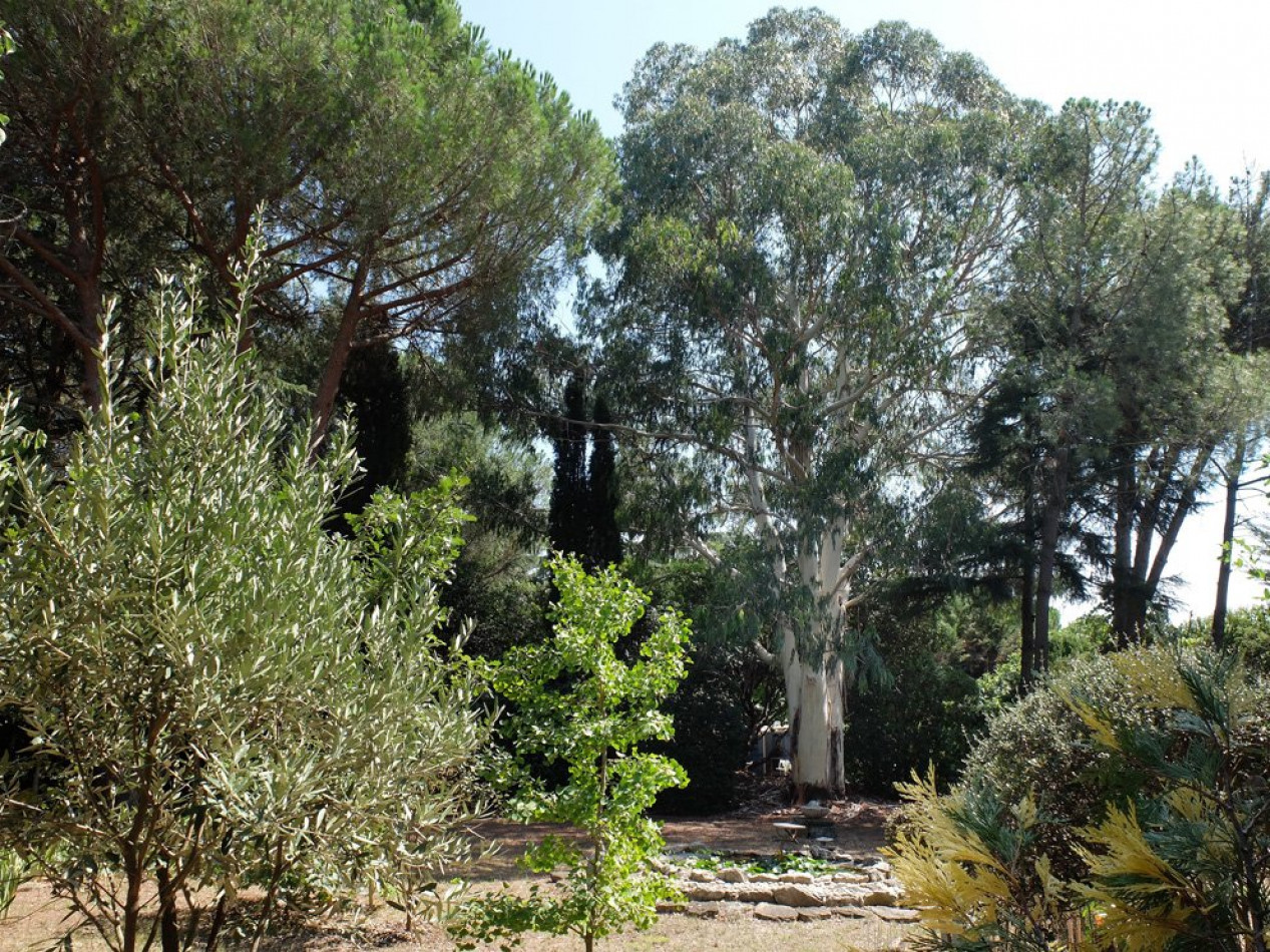 vente Mas Mauguio - Photo 2