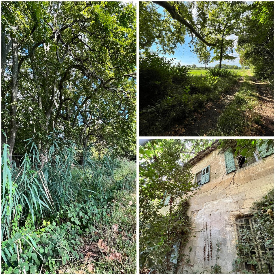 vente Propriété agricole Arles - Photo 3