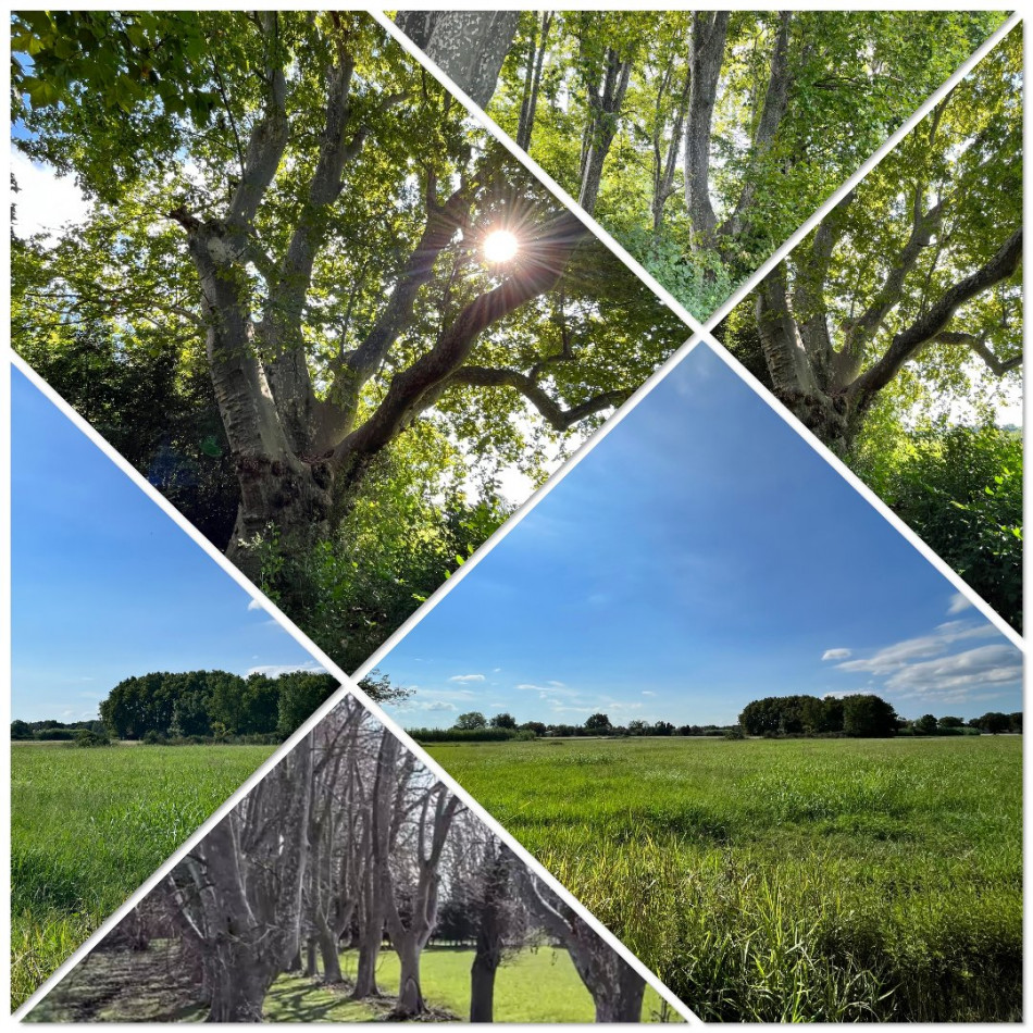 vente Propriété agricole Arles - Photo 2