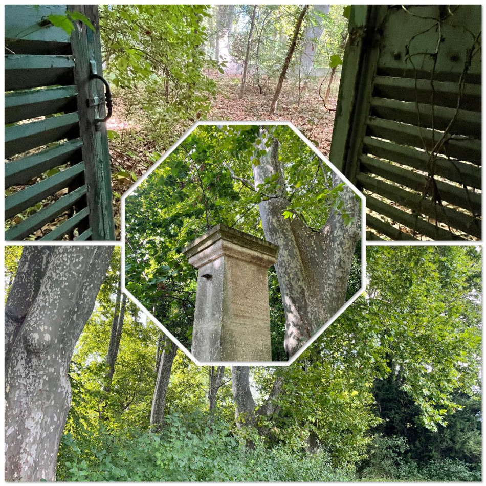 vente Propriété agricole Arles - Photo 1