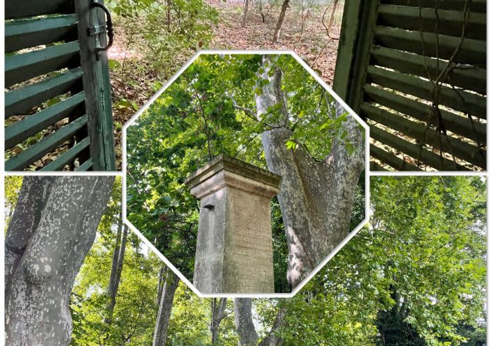 vente Propriété agricole Arles