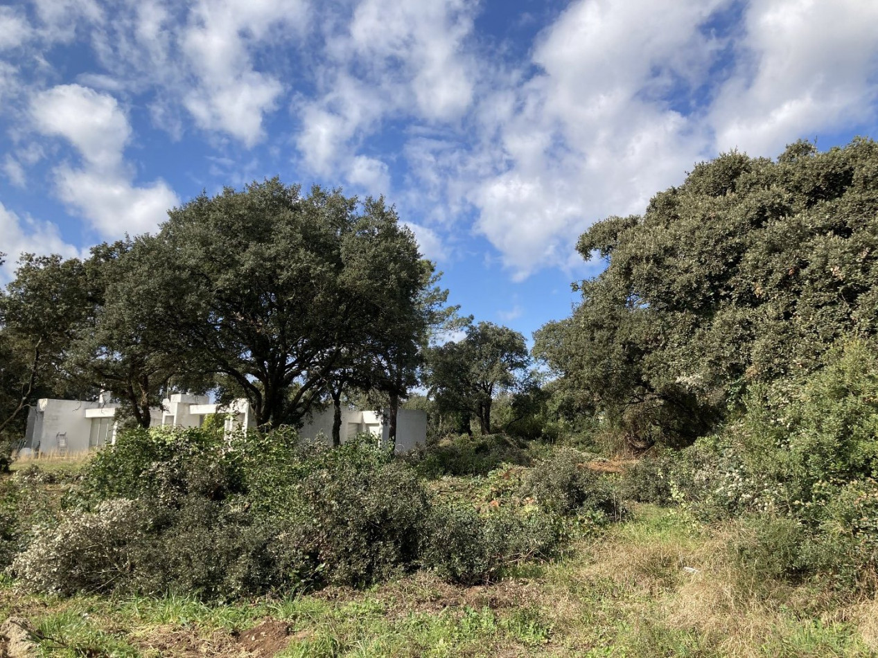 vente Terrain Baillargues - Photo 1