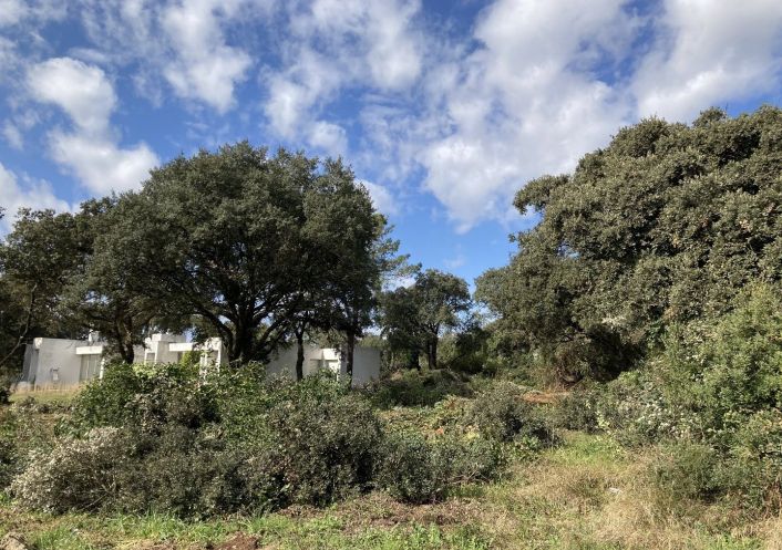 vente Terrain Baillargues