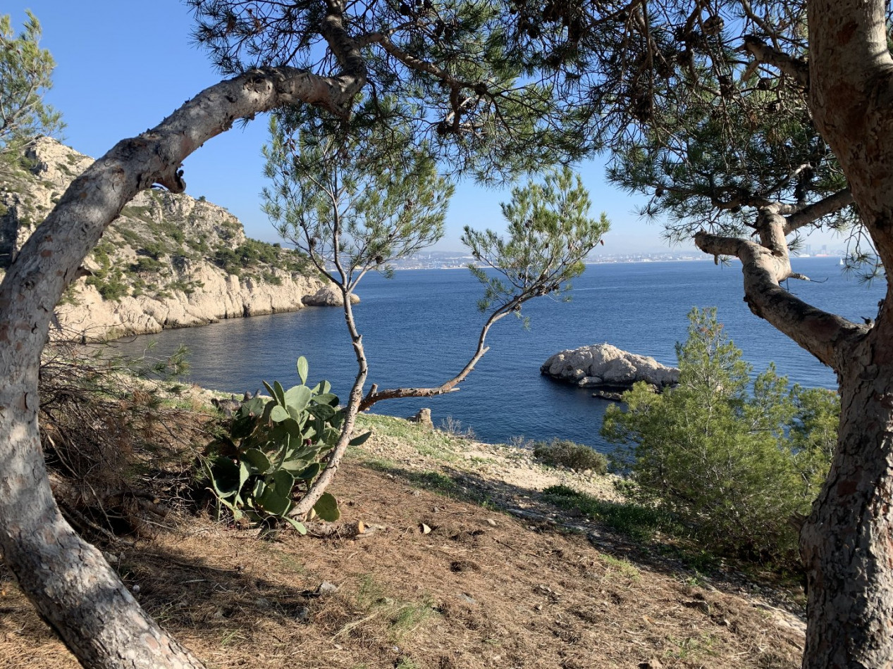 vente Maison Le Rove - Photo 2