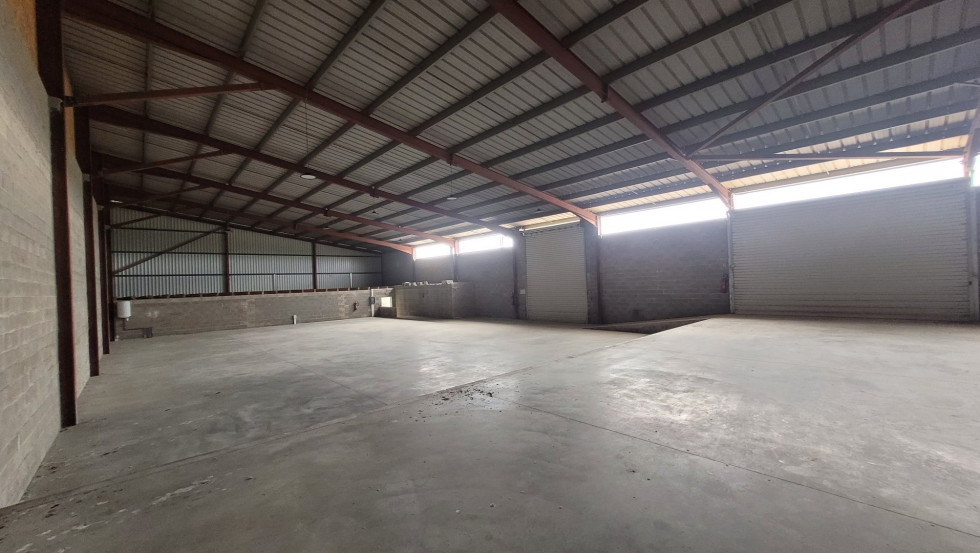 location Locaux d'activité Cournonterral - Photo 2