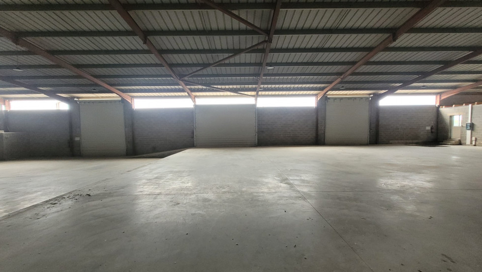 location Locaux d'activité Cournonterral - Photo 3