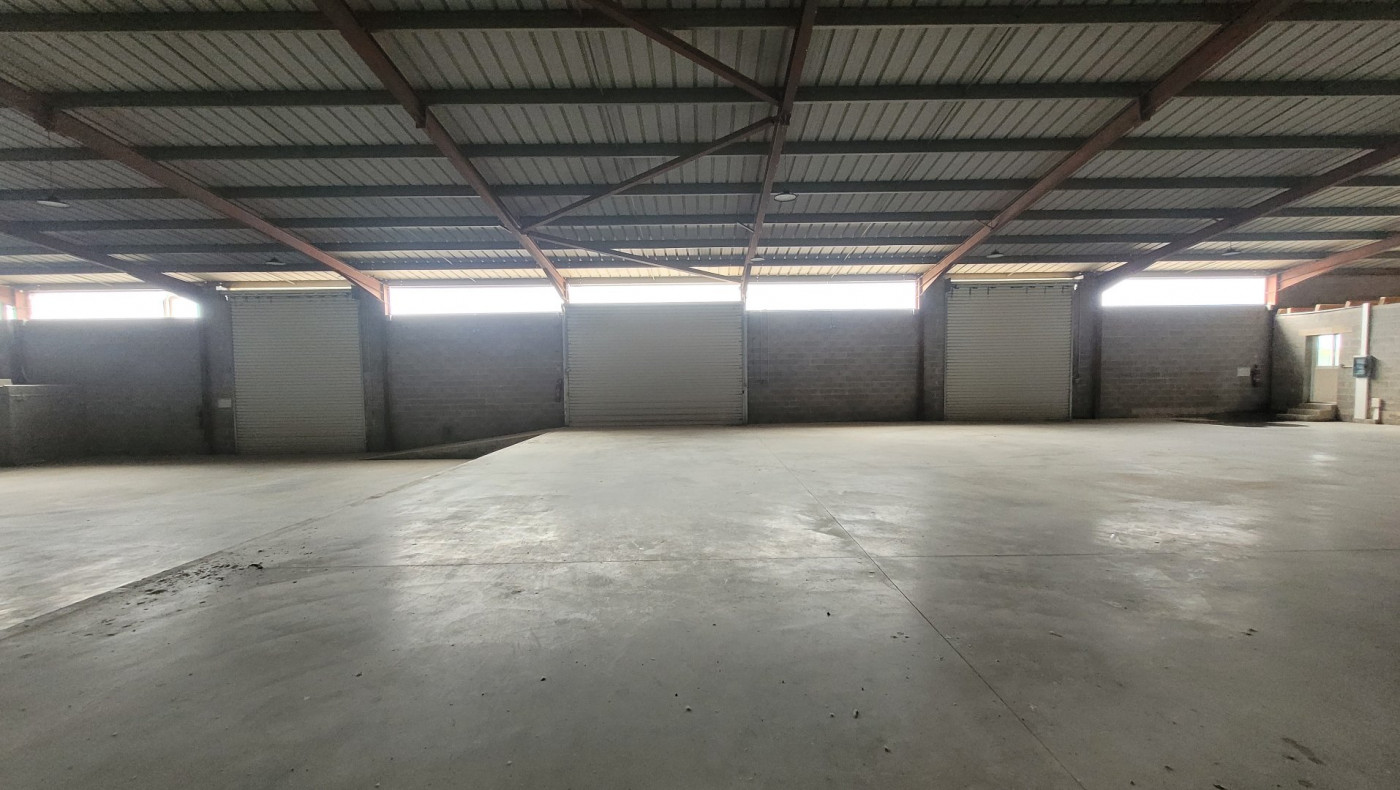 location Locaux d'activité Cournonterral - Photo 3