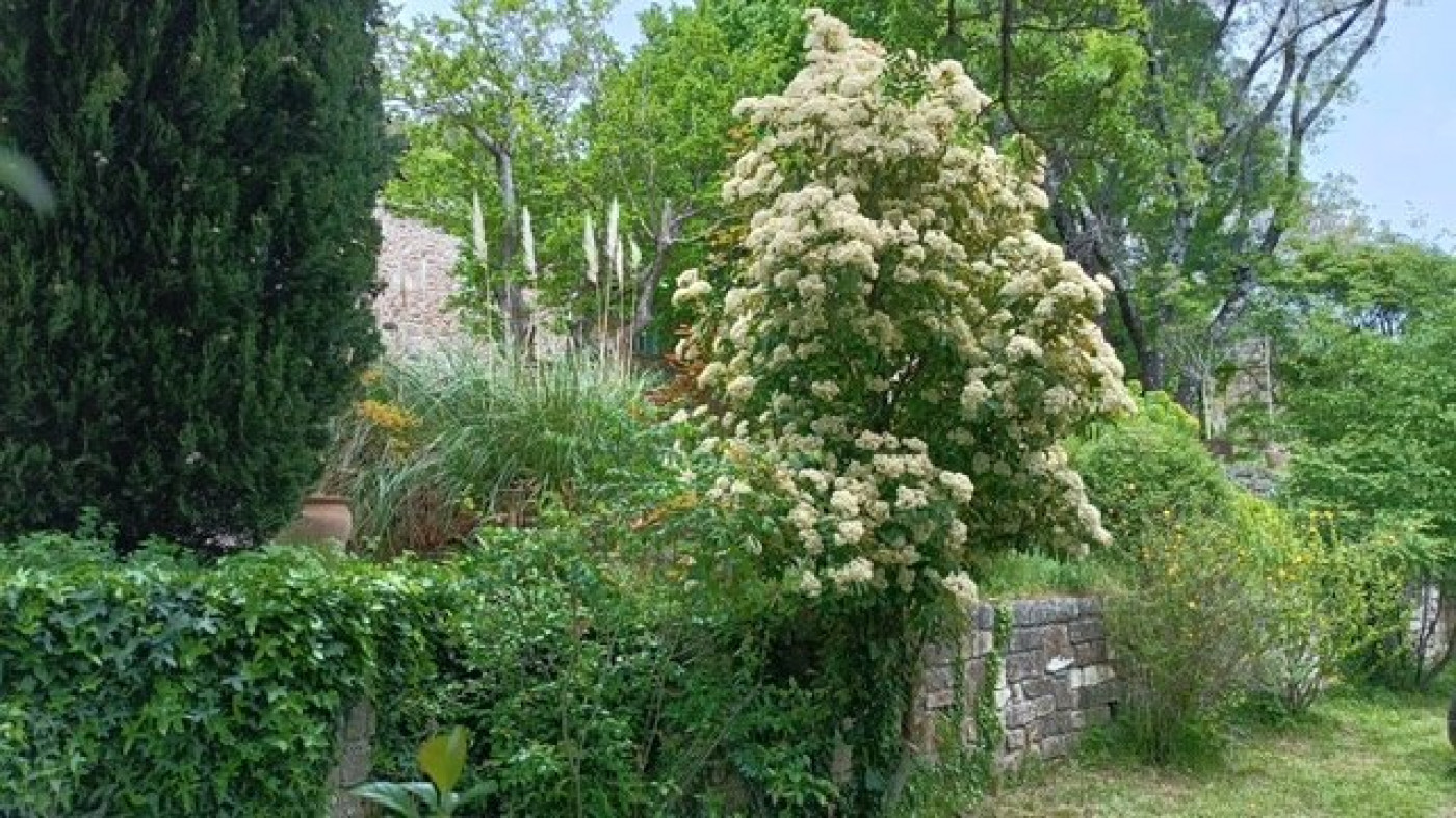 vente Domaine Avene - Photo 8