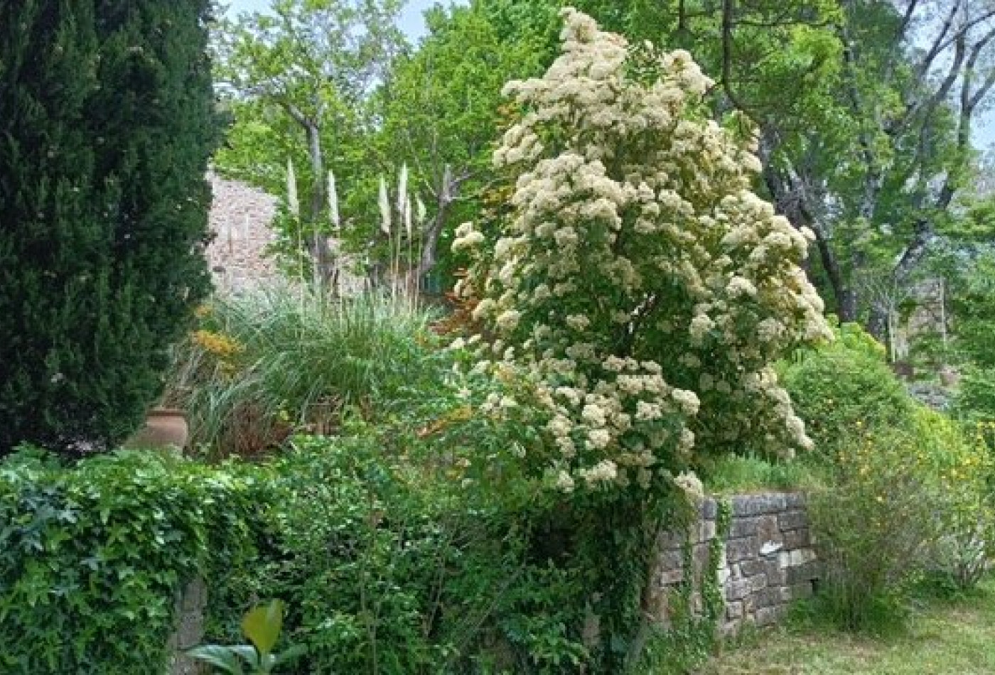 vente Domaine Avene - Photo 8