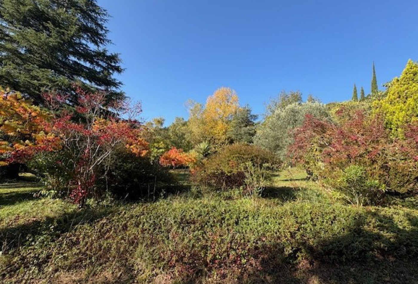 vente Domaine Avene - Photo 3