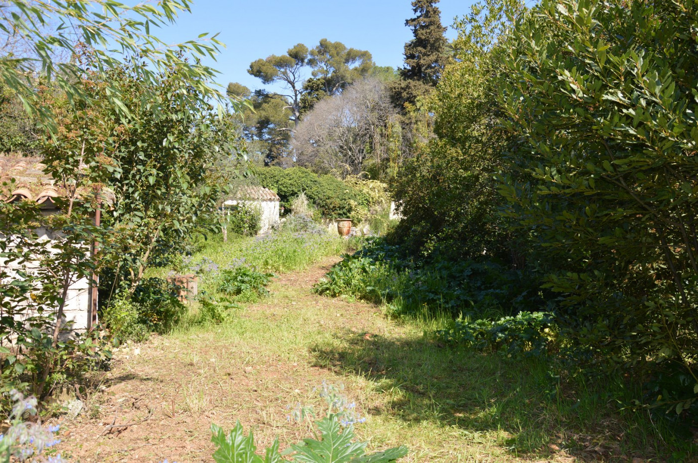 vente Villa Montpellier - Photo 11