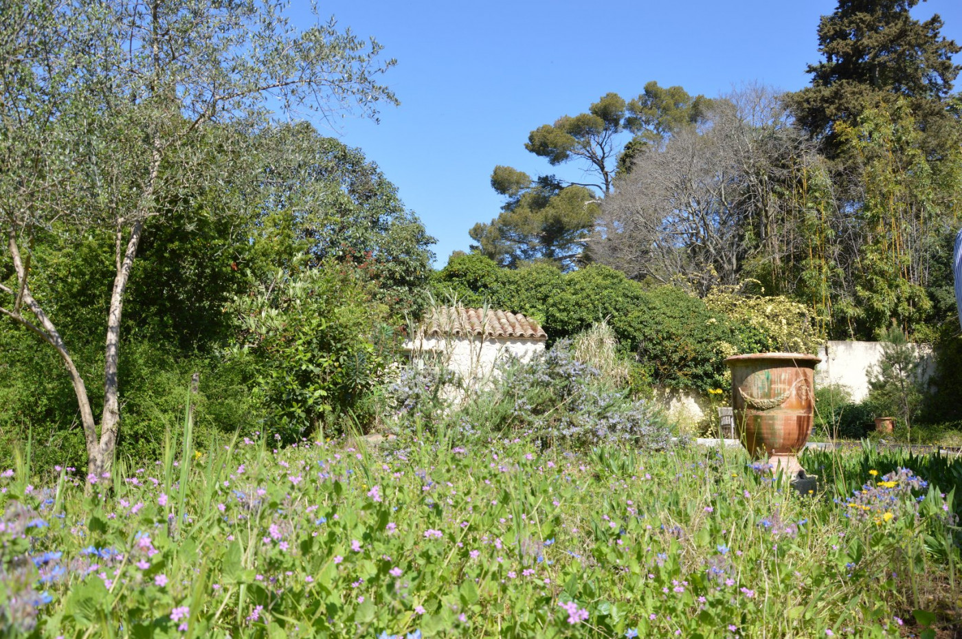 vente Villa Montpellier - Photo 12