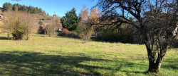 vente Terrain Le Caylar