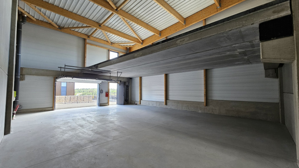 vente Locaux d'activité Grabels - Photo 2