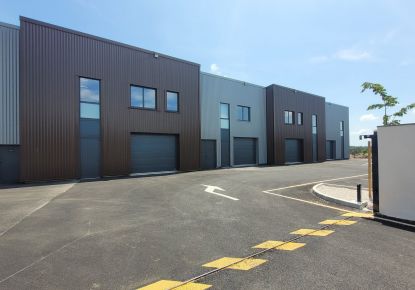 vente Locaux d'activité Grabels