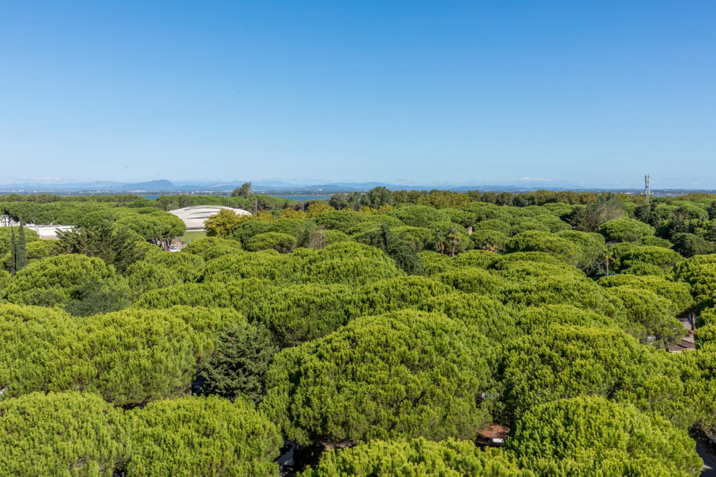 vente Appartement La Grande-motte - Photo 13