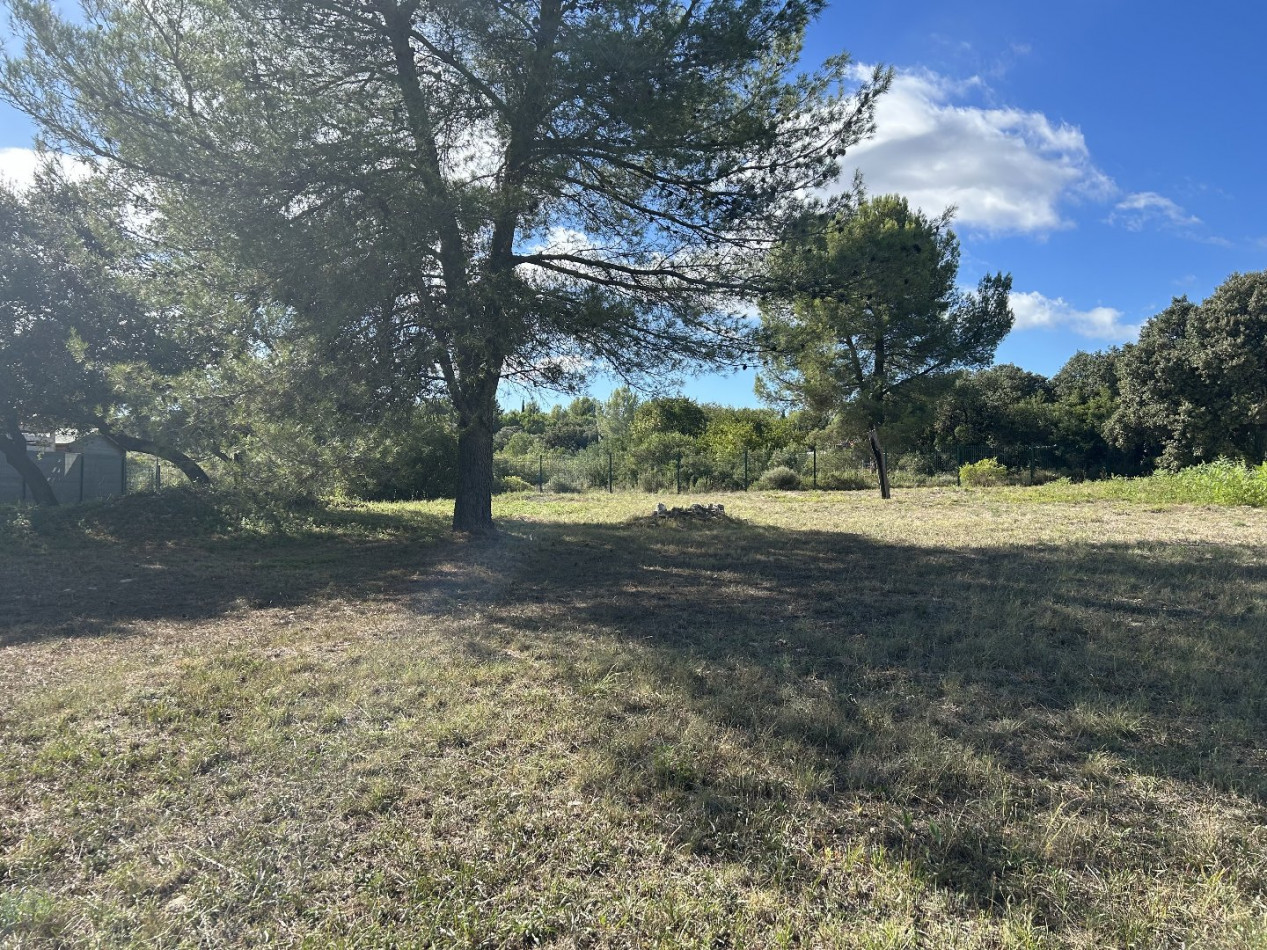 vente Terrain Le Cres - Photo 1