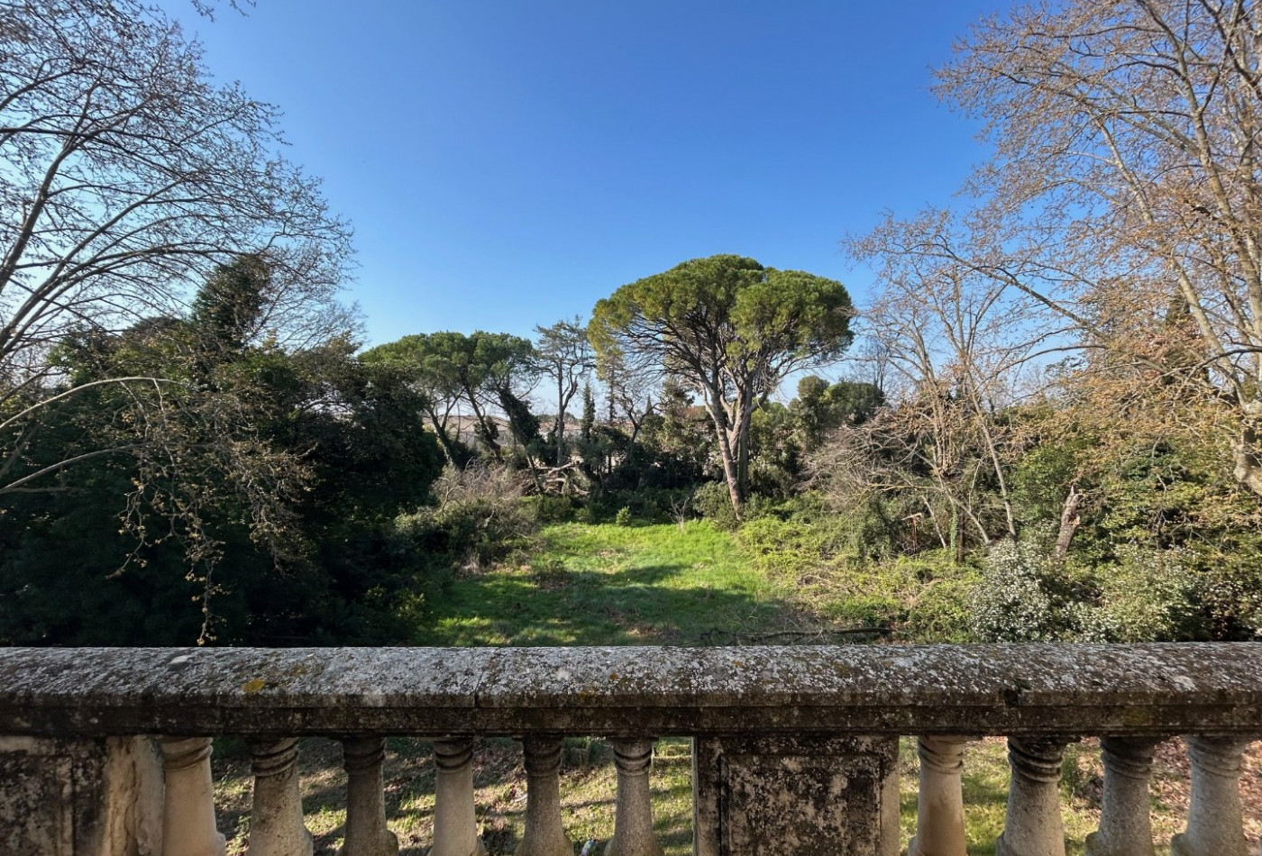 vente Château Saint Nazaire De Pezan - Photo 3