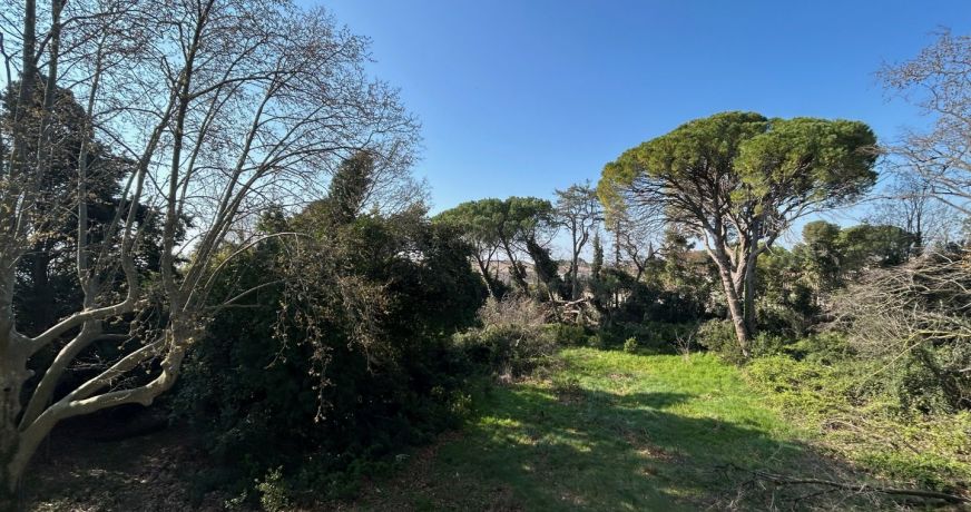 vente Château Saint Nazaire De Pezan