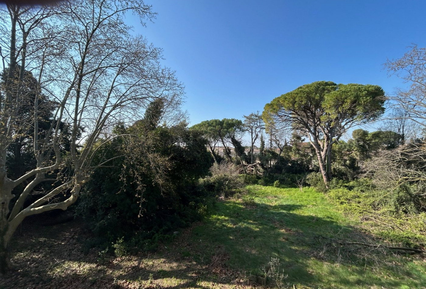 vente Château Saint Nazaire De Pezan - Photo 5