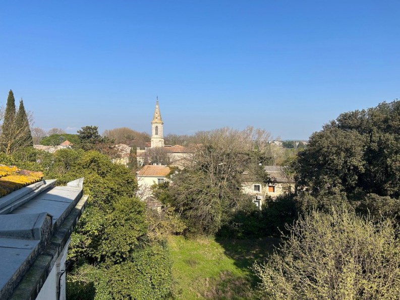 vente Château Saint Nazaire De Pezan - Photo 6