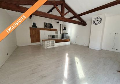 vente Loft/atelier/surface Castelnau Le Lez