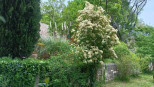 vente Domaine Avene
