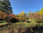 vente Domaine Avene
