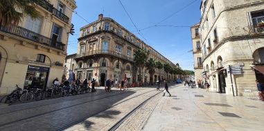 vente Montpellier