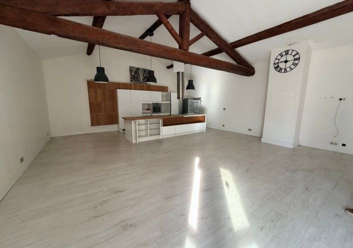 vente Loft/atelier/surface Castelnau Le Lez
