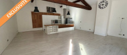 vente Loft/atelier/surface Castelnau Le Lez