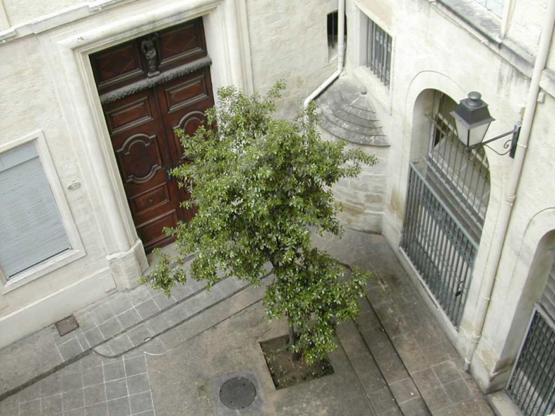 location Appartement Montpellier - Photo 5