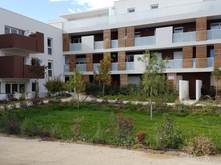 A louer Castelnau Le Lez | Réf 343733456 - Immobis