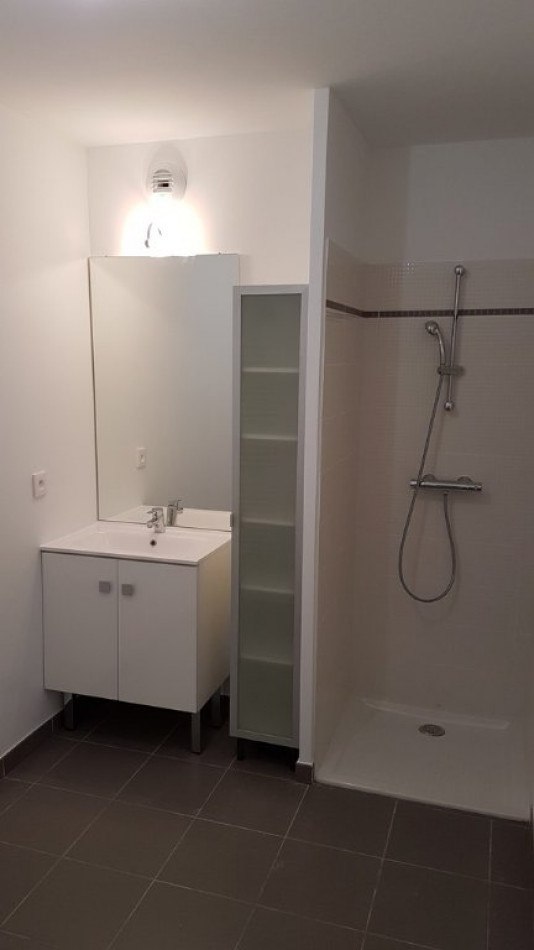 location Appartement Castelnau Le Lez - Photo 4