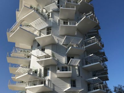 A louer Montpellier | Réf 343734214 - Immobis