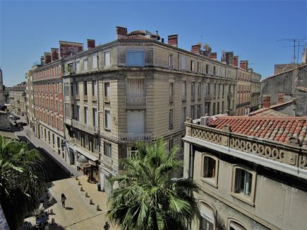 A louer Montpellier 343735149 Immobis