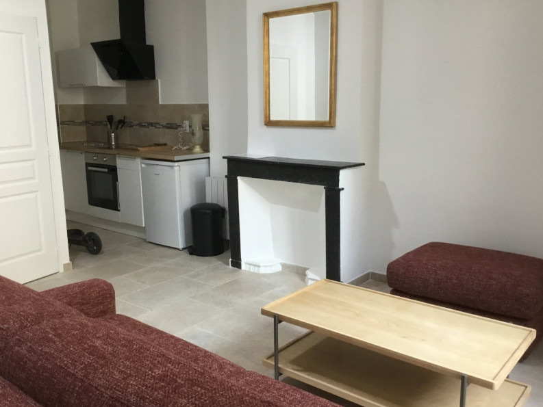 location Appartement Montpellier - Photo 1