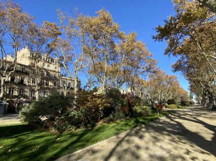 A louer Montpellier | Réf 343737042 - Immobis