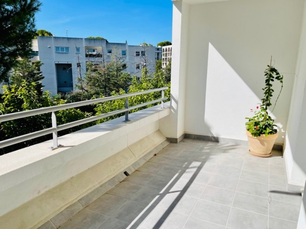 location Appartement Montpellier - Photo 2