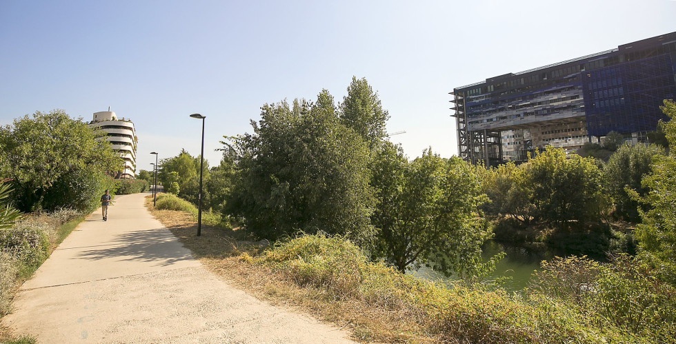 location Appartement Montpellier - Photo 8