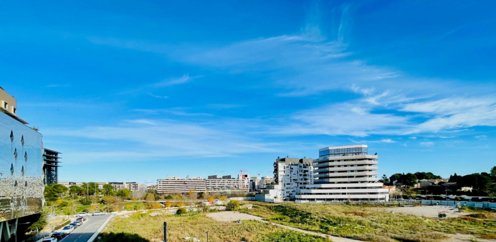 location Appartement Montpellier - Photo 1