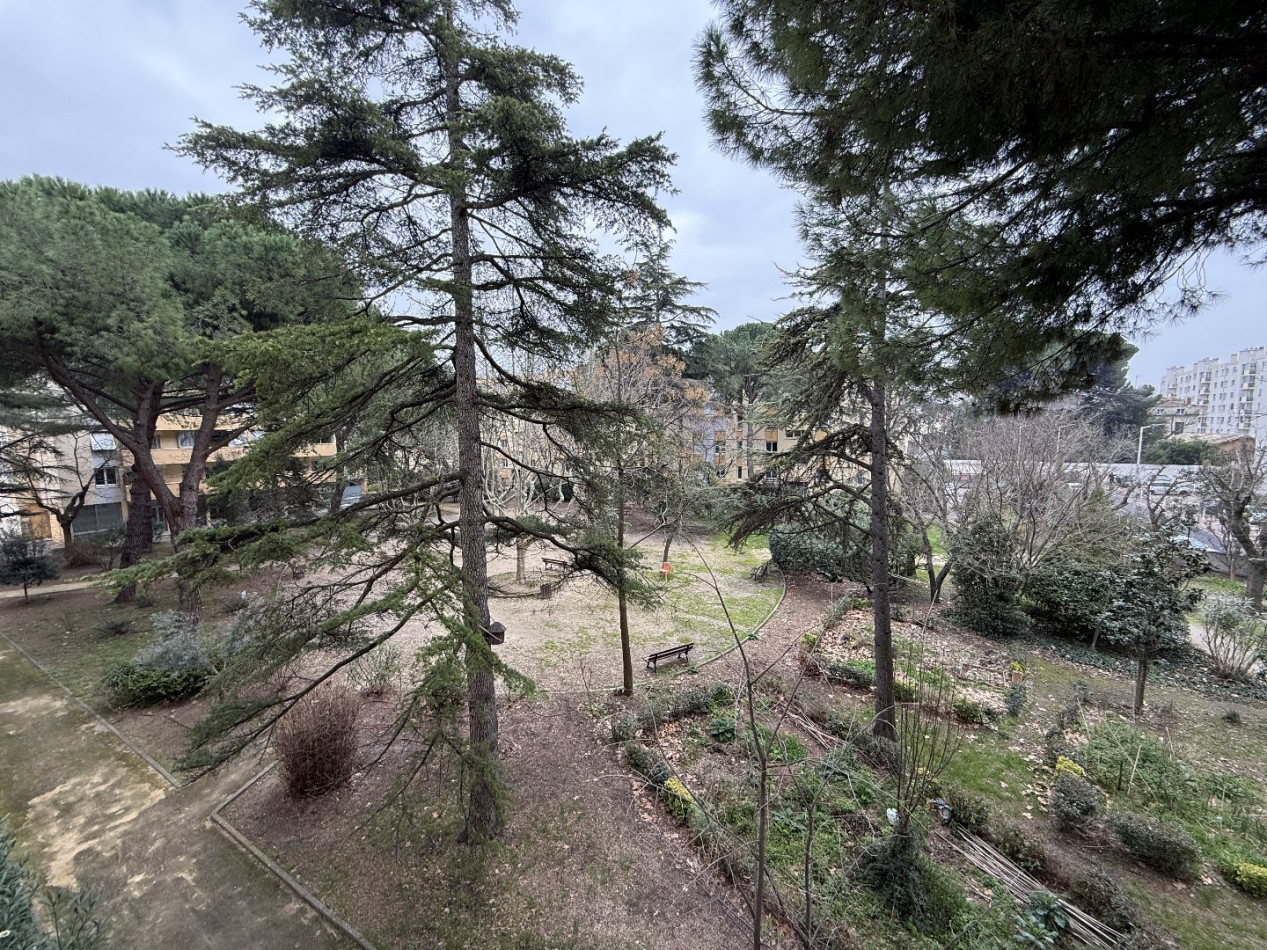 location Appartement Montpellier - Photo 1