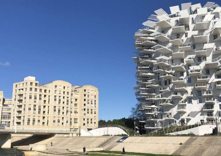 location Appartement Montpellier